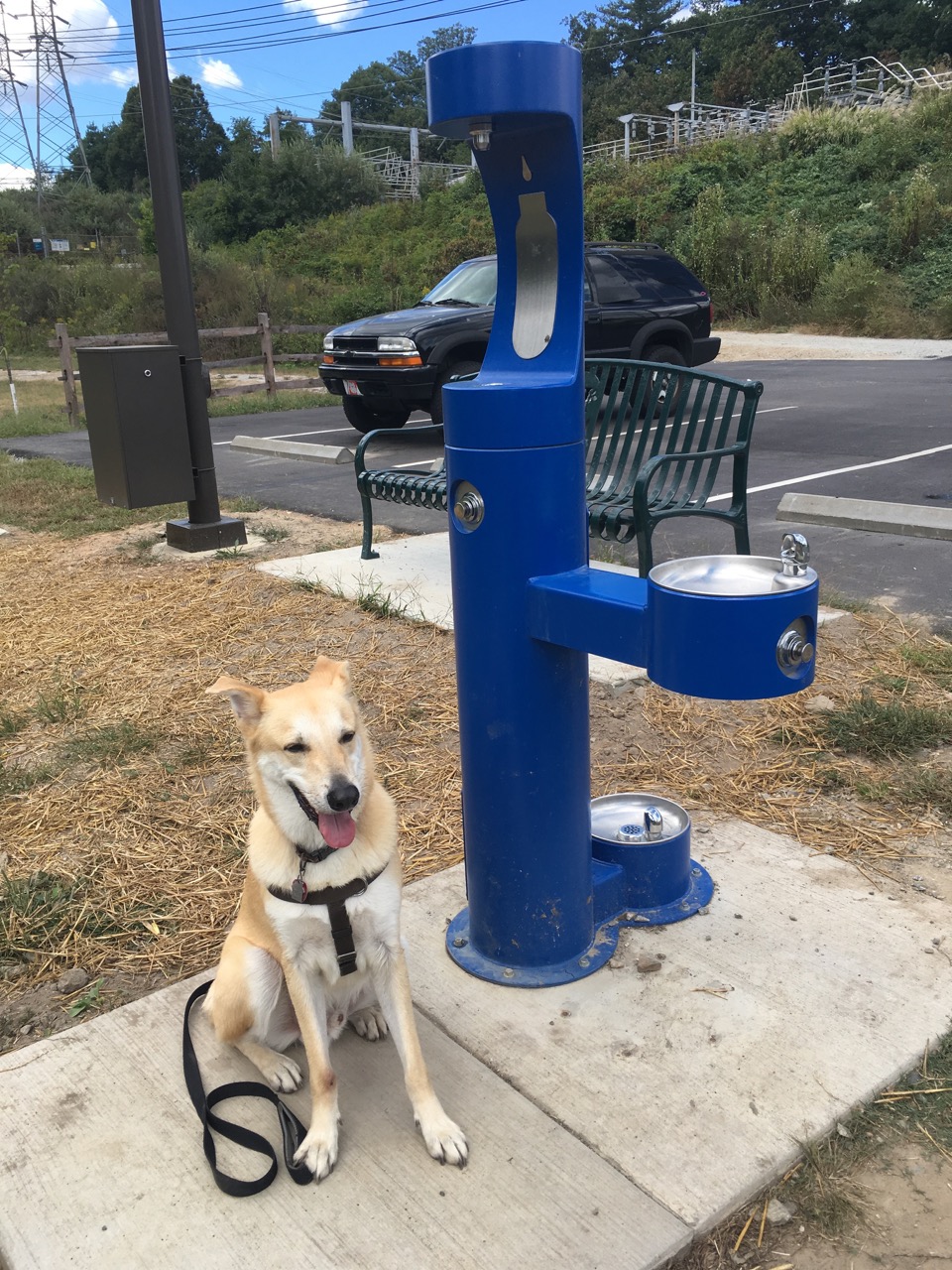 Drinking Water Station
