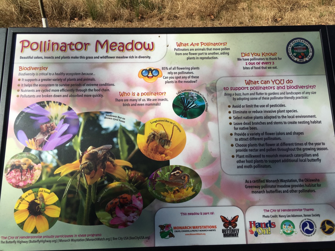 Pollinator Meadows